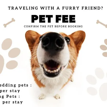 Apartamento São Tomé 10289 Al Lisboa